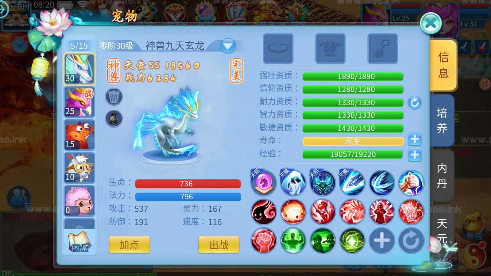 图片[15]|《天书奇谈3D炫彩新宠版》经典Q萌回合手游Linux手工服务端+多区跨服+加解密工具+CDK授权后台+安卓苹果双端+详细搭建教程|Aae_Source